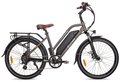 26” Step-Thru Ebike | Leitner Riviera